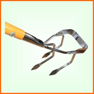 Buy Kitchen Accessories Online