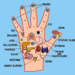 Acupressure Equipment