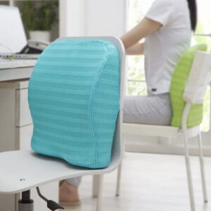 Back Support for Chair, Back Rest for Chair Back Pain, Lumbar Support for Car Support with Memory Foam, 8 Magnets, Washable Mesh Cover & Adjustable Strap