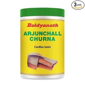 Baidyanath Arjunchall Churna - 100 g (Pack of 3)