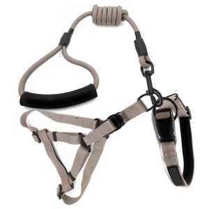 Combo Pack of Harness, Neck Collar Belts and Rope Set