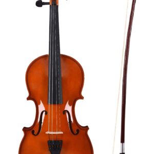 Intermediate New 4/4 Violin with FREE pickup Case