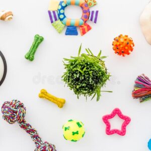 Pet Toys