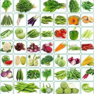 Seeds for Your Garden with Instruction Manual