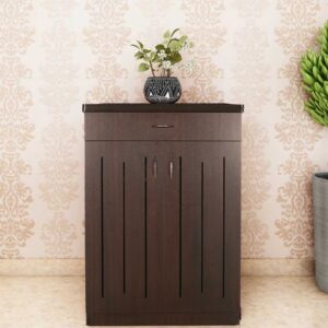 2 Door Shoe Cabinet in Walnut Colour