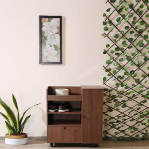 Shoe Cabinet In Walnut Finish