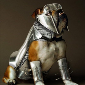 Dog's Body Armor